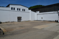 DSC_1099.JPG