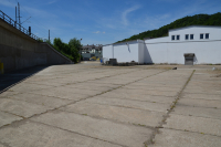 DSC_1100.JPG